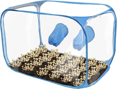 Suuret läpinäkyvät sienikasvatuspussit kasvavat teltta 354x236x236 tuuman still-ilmalaatikko, jossa on 2 kädenreikää ja vetoketju popup-sienen kasv...