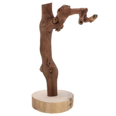 Luonnonpuinen papukaija ahven jalusta papukaijakoulutus kestävät materiaalit vaaleanruskea 22,00x15,00x9,00 cm 1 pakkaus 22.00X15.00X9.00CM