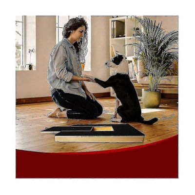 Koiran kynsikäpälän naarmuuntumisalusta - viilatrimmerilevyn leikkaus raapimislaatikko hiomapaperiviilaus naarmuuntuminen