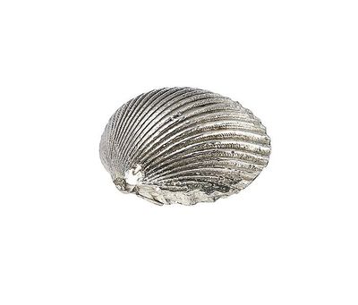 Wentworth Støbt tin Stor cockle shell ornament - JK04