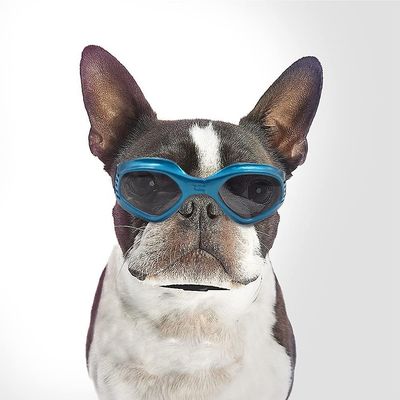 Mikasa Hundebriller, Pet solbriller, UV Beskyttelse blå