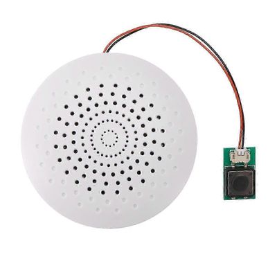 8 Mt:n USB-äänimoduulilaatikko, jolla voi tallentaa ladattavaa kaiutinta, jossa on MP3-äänen toistotoiminto ja näppäimistöversio Valkoinen