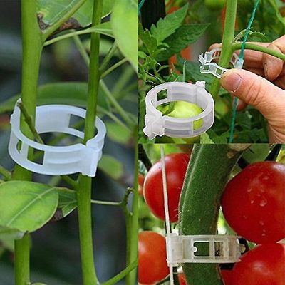 Mikasa 50 / 100 Genanvendelige 25mm Plast Plant Støtte Clips til hængende planter 50 stk. sæt
