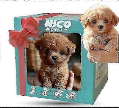 Nicoo AI -robottikoira aikuisille, realistinen robottipentu todenmukaisilla toiminnoilla, interaktiivinen älykäs robottilemmikkikumppani A