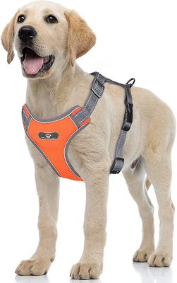 Tianzun Anti Grip Dog -valjaat, heijastava säädettävä koiraliivi, pehmeä verkkopehmustettu liivi pienille keskikokoisille koirille Oranssi XL