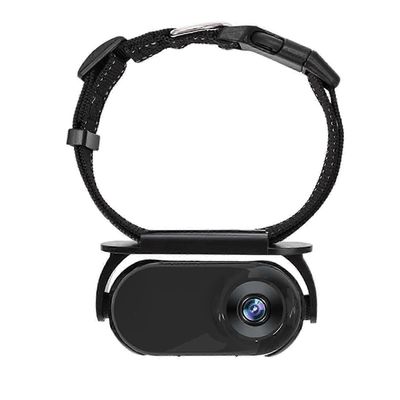 Koiran kameran kaulus sisätiloihin Lemmikkieläinten HD-videokamera DVR-kaulus videotallenteisiin Musta