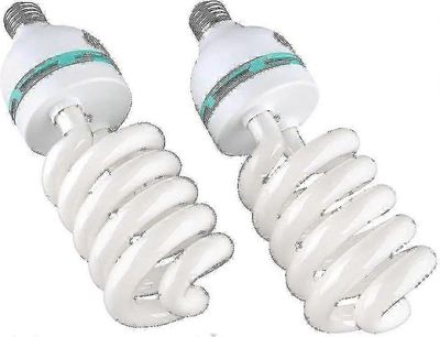 unbrand Sarja 2 x 135w E27 päivänvalon valokuvauslamppu Photo Studio Video Daylight Bulb 5500k (2kpl)