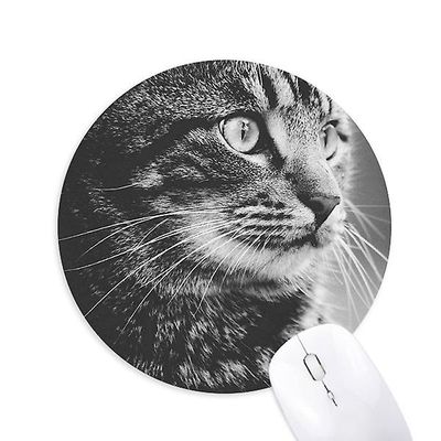 Kat Profil Animal Mouse Pad