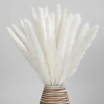 Tørret Pampas Græs-naturlige, 30 stk Reed Græs Plumes, Tørret Blomsterbuket til Diy Home Kitchen Bryllup Party Decor Hvid