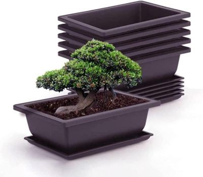 Sett med 6 Bonsai Training Potter med Tray Square Plast Flowerpot saftig plante Flowerpot for hage, stue og kontor
