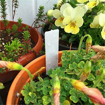 Værktøj Lables Garden Stake Tags 5 * 1 cm genanvendelig Let ren plastmarkør