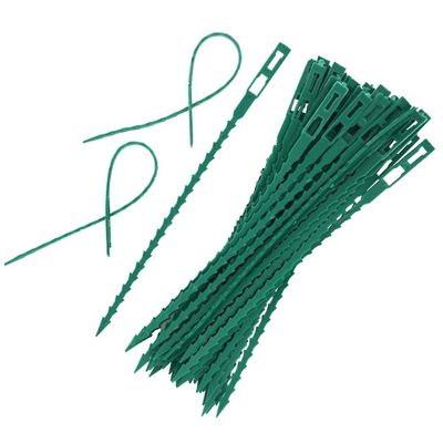 100pcs justerbar plast plante kabelbånd genbruges til tree klatring Support