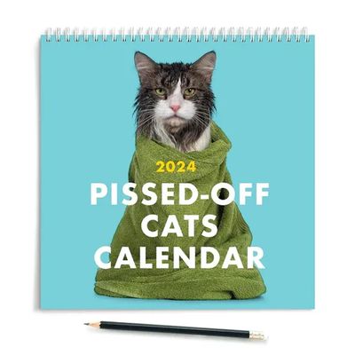 2024 Forbanna katter kalender,Morsom katteveggkalender,Katter og kattunger