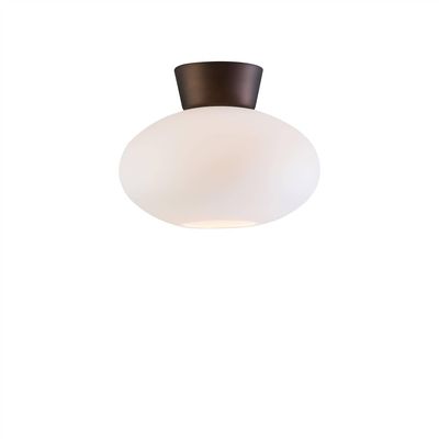 Belid Lighting Bullo 1 Light Flush Globe Loft Lysoxid, E27