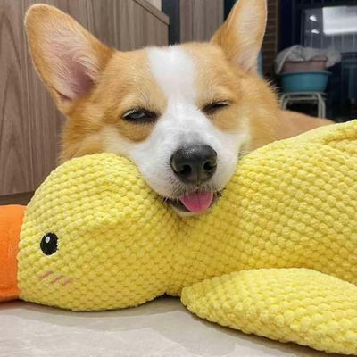 Interaktiivinen puoskaroiva ankkalelu, joka on yhteensopiva koiran kanssa aidolla puoskariäänellä, täytetty ankkakoiran lelu, 100% uusi -szhg Kelta...