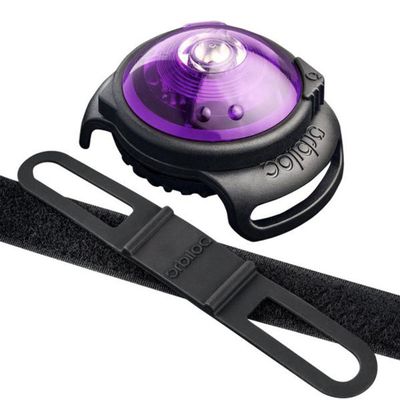 Orbiloc Light Up koiran kaulus Dual Safety Light Purple