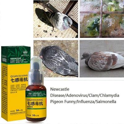 Redkid Kyyhkynen kyyhkynen rokko Vetinen uloste Vihreä uloste Salmonellarauhanen Klamydia