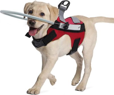 Sokean koiran valjaiden ohjauslaite, sokea koiran halo, lemmikkieläinten törmäyksenestorengas suojaamaan kissoja ja koiria sokeudella, näön hämärty...