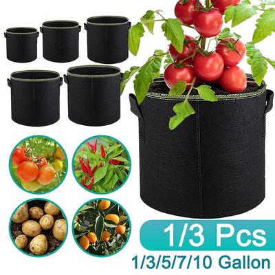 Havearbejde Stof Pot Gallon Filt Grow Bag 5 stk Sæt alle størrelser