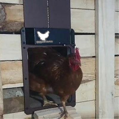 Automaattinen Koti Kana Coop Oven avaaja Kana Talo Valoanturi Ovi Lähempänäautomaattinen Koti Kana Coop Ovi Avaaja Kana Talon valoanturi Ovi lähempänä