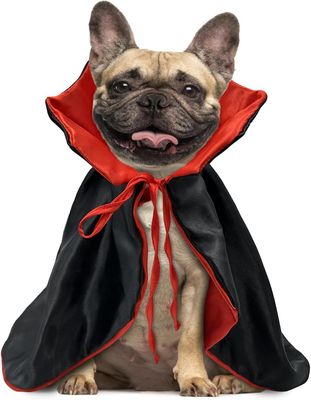 Heytea Halloween-asut koirille, vampyyriviitta kissalle, mukavat pehmeät koiran noitavaatteet, punainen ja musta koiran viittapuku pienelle keskiko...