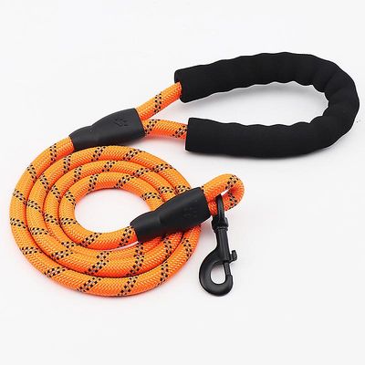 Hund Snor Reflekterende Nylon Snore Hund Tilbehør Holdbar Krave Snore Bly Reb til Kat Big Lille Pet Seletøj Grøn