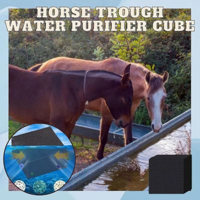 Eco-akvaario vedenpuhdistinkuutiot erittäin vahva suodatus ja absorptio