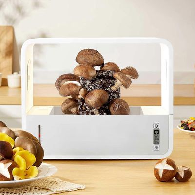 Älykäs sienien istutuskasvatussarja, täysautomaattinen ilmalaatikko, jossa on valoa itiöille