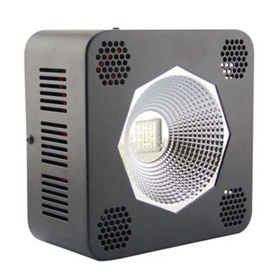 Ruili 192w Grow Light Fill Light Gl-3f192i sort