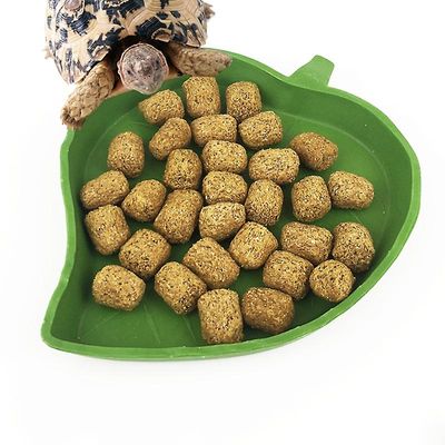 Blade Formet Plastic Krybdyr Parabol Padder Feeding Basin Water Food Bowl Gecko Worm Feeder Pet Supplies S