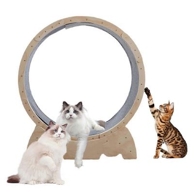 Puinen kissan harjoituspyörä, irrotettava matto juoksuun/kävelyyn/harjoitteluun, sisähalkaisija 32,68 tuumaa/83 cm Keltainen