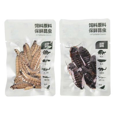 Lemmikkieläinten torakka ja Arley luonnollinen turvallinen ravitseva tyhjiösuljettu ohrahyönteisrehu lemmikkieläimille, matelijoille, kaloille