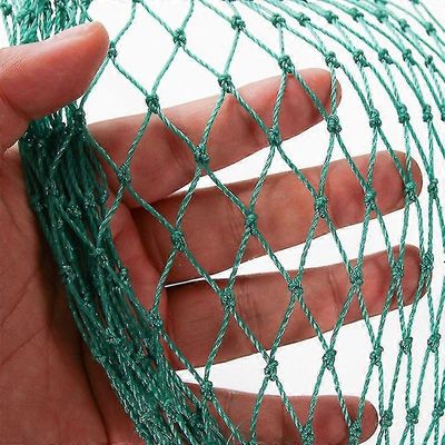 Raskas lintujen vastainen verkko Puutarha-aita ja viljelykasvit suojaava miekkailuverkko Anti Bird Deer Cat Dog Chicken Net Fishing Net 4*12m