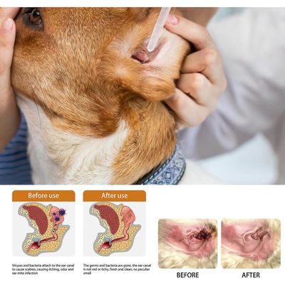 Nyökkäilevät punkit ja epäpuhtaudet kutinaa estävä kissan ja koiran korvanpuhdistusaine korvanpuhdistusaine kissoille ja koirille