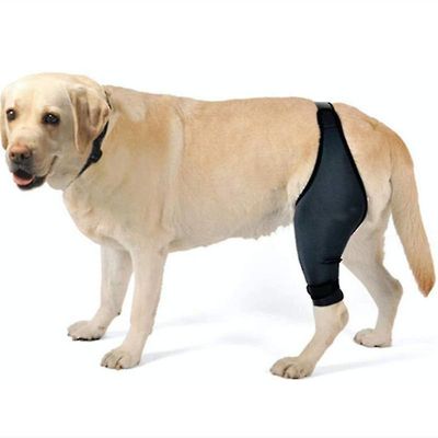 pustende hunden albue brace protector pads for hunden albue og skulder støtte albue hygroma, dysplasi, slitasjegikt Høyre M