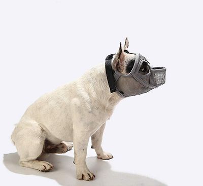 Tianzun Snute for hunder med flatt snutejusterbar, pustende snute for hunder med kort snute, bulldog snute anti-bite, tygging, bjeffing, hund Grå XXS