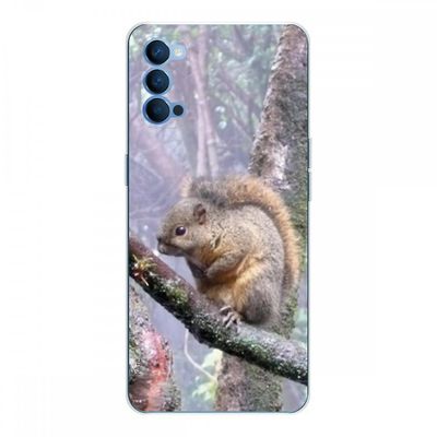 Crazy Kase Skrog til Oppo Reno4 5g Silikone Soft 1 Mm, Egern