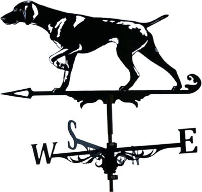 Shindat Holdbar Weathervane Av Black Hound Gode retninger For Hjem Hage Stake