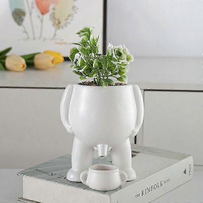 Kusta kasvi ruukku mehevä istutuskone, hauska istutusruukkumaljakko ulkona oleville sisäkasveille, puutarhakoristelun uutuuslahja Valkoinen