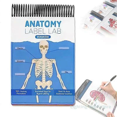 Anatomy Label Lab -työkirja 100+ täysväristä kuivapyyhittävää sivua, joissa on ihmiskuvia, termejä ja tarroja oppimista varten
