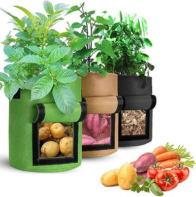 Xqday 3 Pak kartoffel grow taske. Veg Grow Tasker. Kartoffel plantageejer pot. Havearbejde Plante voksende taske - tomat. Gulerod grøntsagsbeholder...