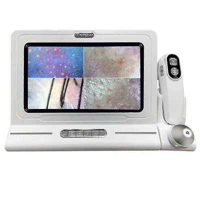 MEIBOYI 11 tuuman LCD-ihon hiusten päänahan analysaattorin ilmaisin digitaalinen mikroskooppisuurennuslasi iho hiukset mustapää follikkeli päänahan...