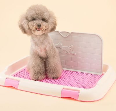 Ruili Indendørs pet hvalp Toilet Doggy Uddannelse Potte Patch Training Pad med væg Pink