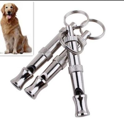 Hund Fløjte Uddannelse Påmindelse Hund Uddannelse Ultralyd Dressur Overlevelse