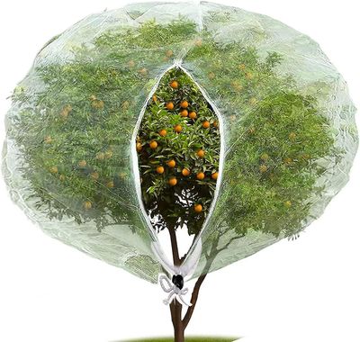 Hyönteisten lintuesteiden verkkoverkko vetoketjulla, puutarhavirheiden verkkokasvin kansi kasvien hedelmien suojaamiseksi Kukka hyönteisten lintuje...