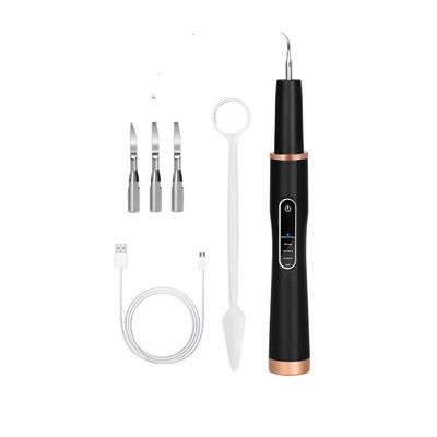 Tannsteinfjerner med ultralyd og 4 rensehoder Black