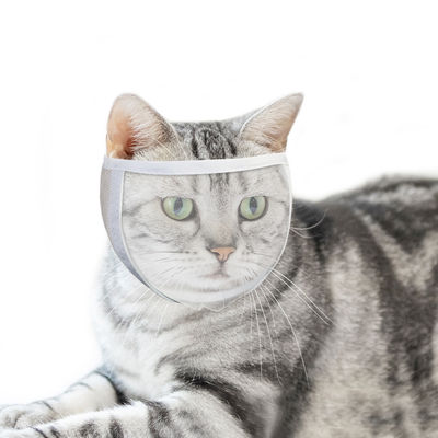 Kattenekurv for trimming og behandling White M