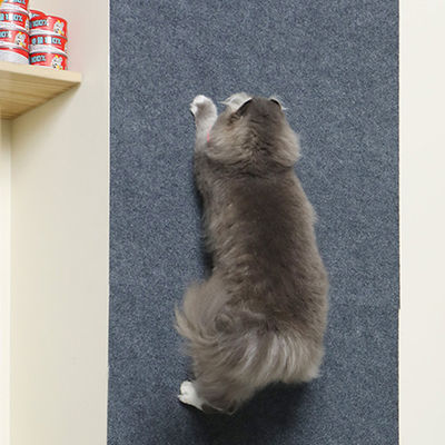 Klorebrett for katt S