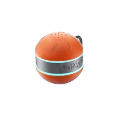 Interaktivt kæledyrslegetøj til katte - Smart Teaser Tumbler Ball Orange