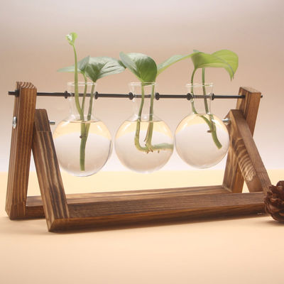 Stiklingvase med 3 Glassvaser og Trestativ – Perfekt for Innendørs Planter og Stiklinger